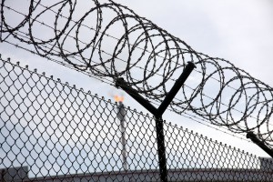 Prisoners Released in 30 States