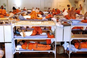 Prisoners Exponential Growth