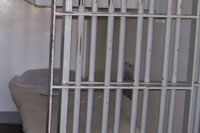 Illinois prison reform